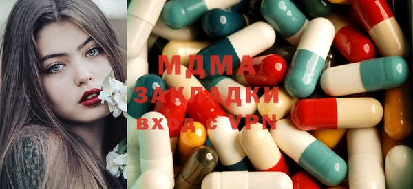 хмурый Арсеньев