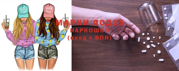 хмурый Арсеньев