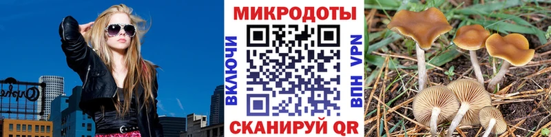 магазин продажи   Злынка  Галлюциногенные грибы прущие грибы 